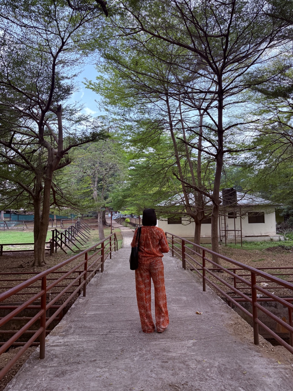 Stephanie walking away along a tree-lined path.